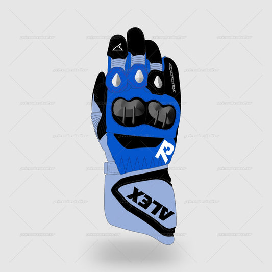Alex Márquez Ducati Gresini Racing MotoGP 2024 Race Gloves