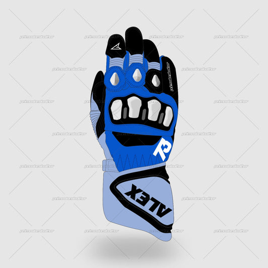 Alex Márquez Ducati Gresini Racing MotoGP 2024 Race Gloves